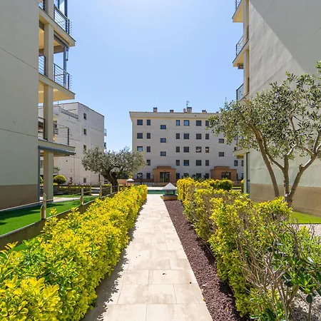 Apart-rent Milleni Ii 8010 Apartamento