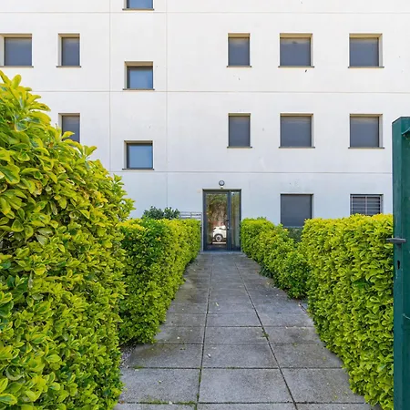 Apart-rent Milleni Ii 8010 Apartamento